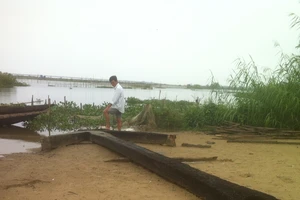 Mỏ neo khổng lồ đã được bảo tàng tiếp nhận