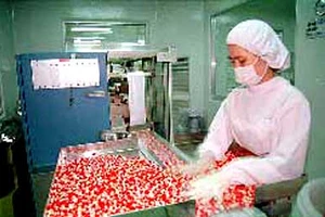 Thuốc sản xuất trong nước mới đáp ứng được 50% nhu cầu