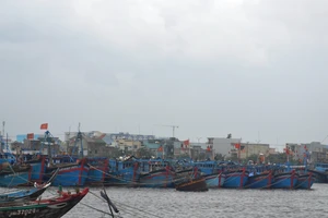 Nhiều tàu cá vẫn đang nằm trên đường đi của bão Hagupit