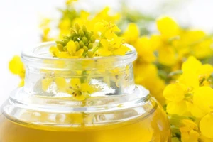 Loại dầu ăn nào tốt nhất?