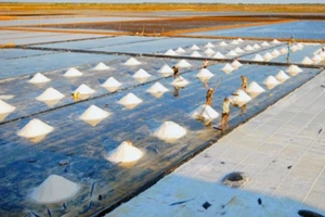 Việt Nam sẽ thiếu 300.000 tấn muối