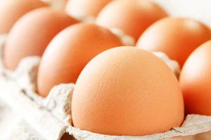 Bí quyết bảo quản thực phẩm trong tủ lạnh