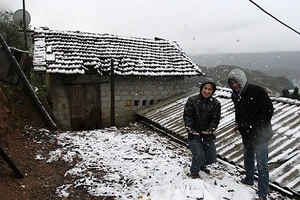 Sa Pa cấm leo Fansipan vì tuyết rơi