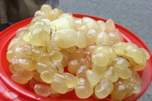 Những cách chữa bỏng nguy hiểm cần tránh