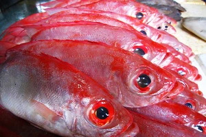 Cách nhận biết hải sản tẩm urê 