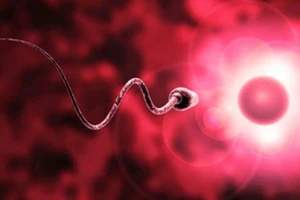 10 điều bạn ít biết về tinh trùng
