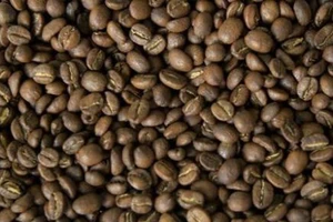 Protein trong cà phê giúp giảm đau, an thần