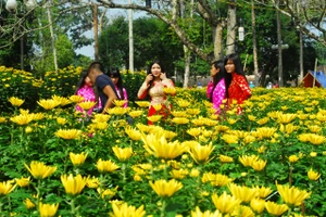 Xuân về trên cố đô Huế