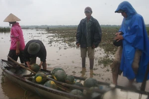 Quảng Nam, Quảng Ngãi thiệt hại gần 200 tỷ đồng do mưa lũ bất thường