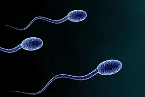 Ăn thực phẩm chứa thuốc trừ sâu làm giảm lượng tinh trùng