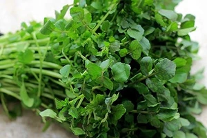 Lợi ích dinh dưỡng bất ngờ của rau cải xoong