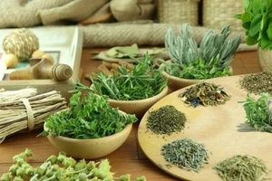 Bạn đã biết uống trà thảo dược đúng cách?