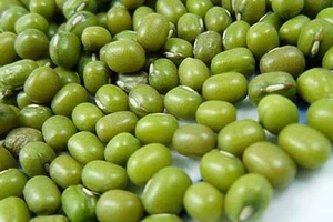 Những người không nên ăn đậu xanh, đậu tương, đậu đen