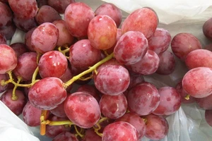 Bị đau đầu nên kiêng ăn gì?