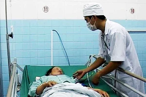 Bị rắn lục đuôi đỏ cắn khi đang gặt lúa