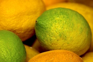 Chanh và 12 công dụng có thể bạn chưa biết