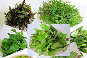 Rau sống và những nguy hiểm có thể đe dọa tới tính mạng