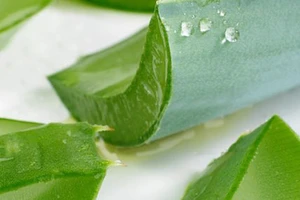 Những điều cần làm khi bị cháy nắng