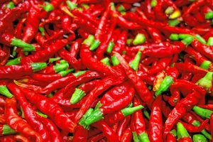 Tạm biệt rụng tóc nhờ 7 nguyên liệu tự nhiên