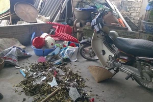 Những vụ hành hung khó hiểu liên quan đến nhóm côn đồ ở huyện Kinh Môn