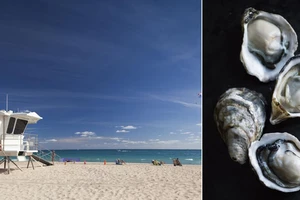 Những nguy hiểm khôn lường cho sức khỏe khi đi biển