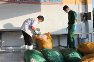 Bắt giữ gần 1 tấn mỡ heo, gia cầm chưa qua kiểm dịch