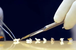 Kiểm tra tay nghề sinh viên y khoa bằng cuộc thi xếp giấy origami