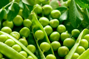 9 thực phẩm phản tác dụng nếu ăn quá nhiều