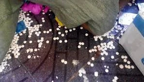 Ai có quyền khóa, niêm phong công ty thực phẩm chức năng ‘bẩn’?