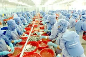 Gia nhập WTO đã bộc lộ hết yếu kém nội tại của nền kinh tế
