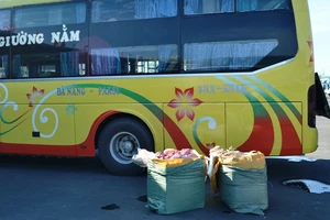 Xe giường nằm chở 2 tạ nội tạng thối đi tiêu thụ 