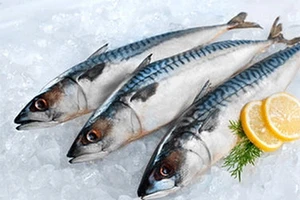 Ăn cá có thể chống trầm cảm