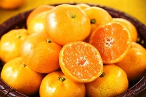 4 cặp thuốc-thực phẩm có hại khi dùng chung