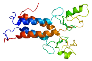 Phát hiện gen làm tăng nguy cơ bệnh tim mạch ở nữ giới