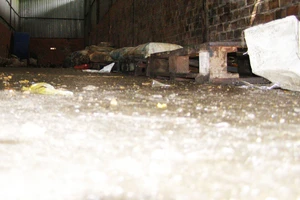 Chủ nhân 21,7 tấn mỡ, da heo thối đã... bán nhà