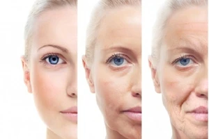 Điều gì xảy ra với cơ thể khi bạn già đi?