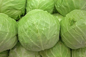 10 thực phẩm giảm cân tốt nhất trong mùa đông