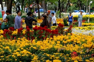 1.000 vé tham quan hội hoa xuân cho công nhân TP.HCM 