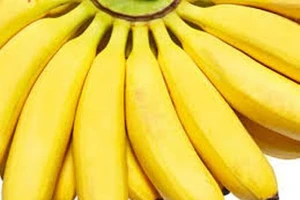 Cách nhận biết chuối chín tự nhiên và chuối chín do nhúng hóa chất