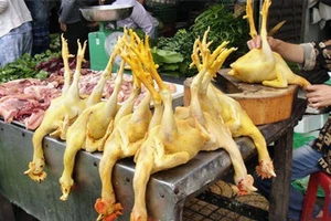 Mẹo nhận biết gà ta, gà tẩm bột sắt, gà thải loại Trung Quốc