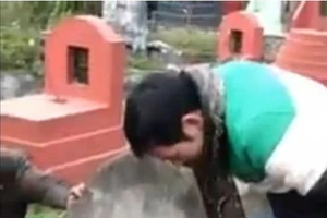 Giải cứu trăn khổng lồ bị mắc kẹt trong ngôi mộ cũ