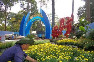 Hội Hoa Xuân 2016 trước ngày mở cửa