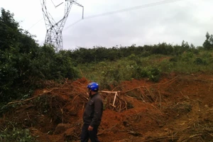 Liều lĩnh trộm diệp thạch sét trong khu vực cấm của đường điện 500kv