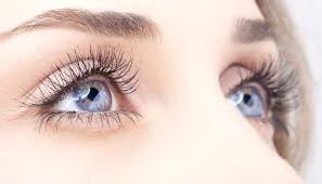 Sẽ có khoảng 1 tỉ người bị mù vào năm 2050