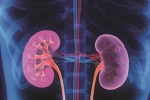 Các loại thuốc gây hại cho thận