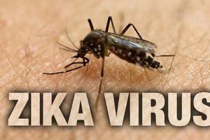 Một du khách Úc nhiễm virus Zika sau khi trở về từ Việt Nam