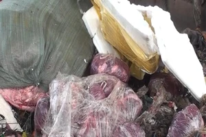 Phát hiện 1.600 kg nội tạng động vật không rõ nguồn gốc trên xe khách