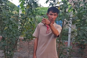 Chủ khu đất của quán Xin Chào cũng bị khởi tố hình sự 