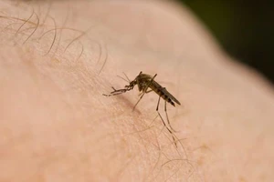 21 quốc gia sẽ không còn bệnh sốt rét vào năm 2020