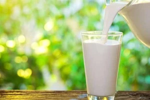 10 lý do không nên cho trẻ dưới 1 tuổi uống sữa bò